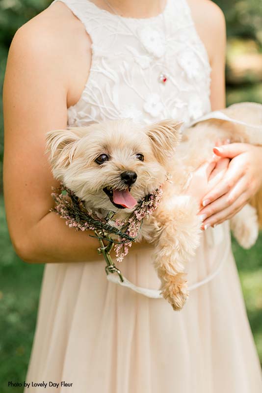 Flower girl holding dog before the wedding