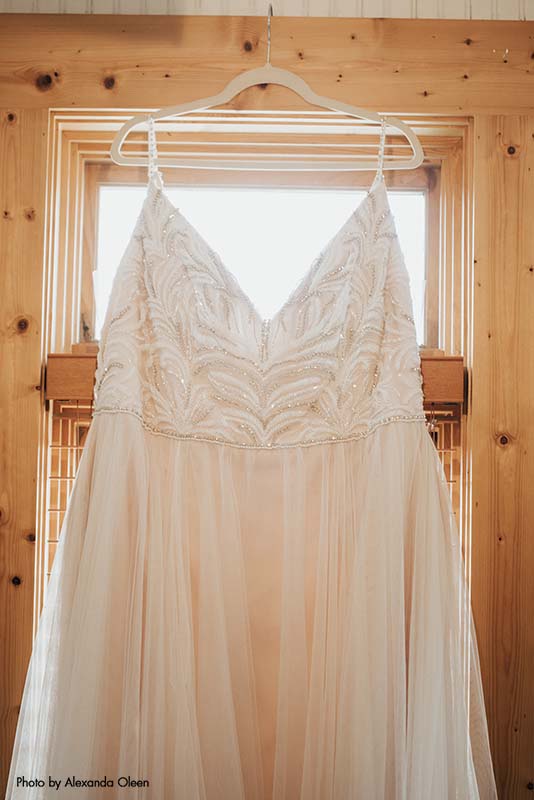 Simple blush wedding dress on hanger
