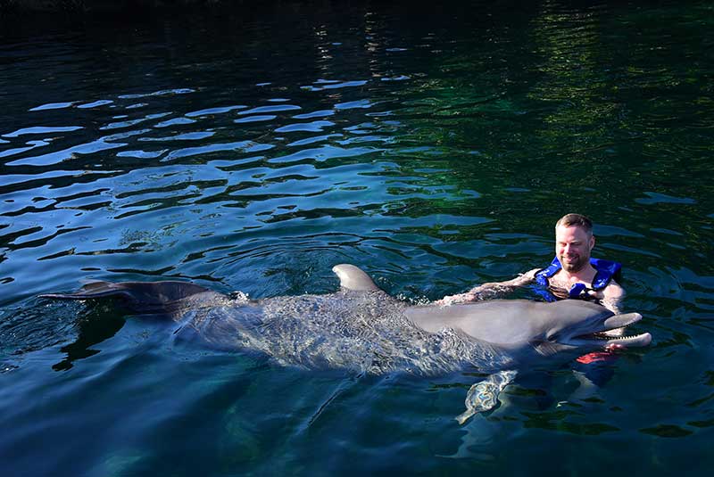 Swimming with dolphins at Delphinus in Mexico