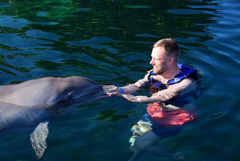 Delphinus conservation for dolphins