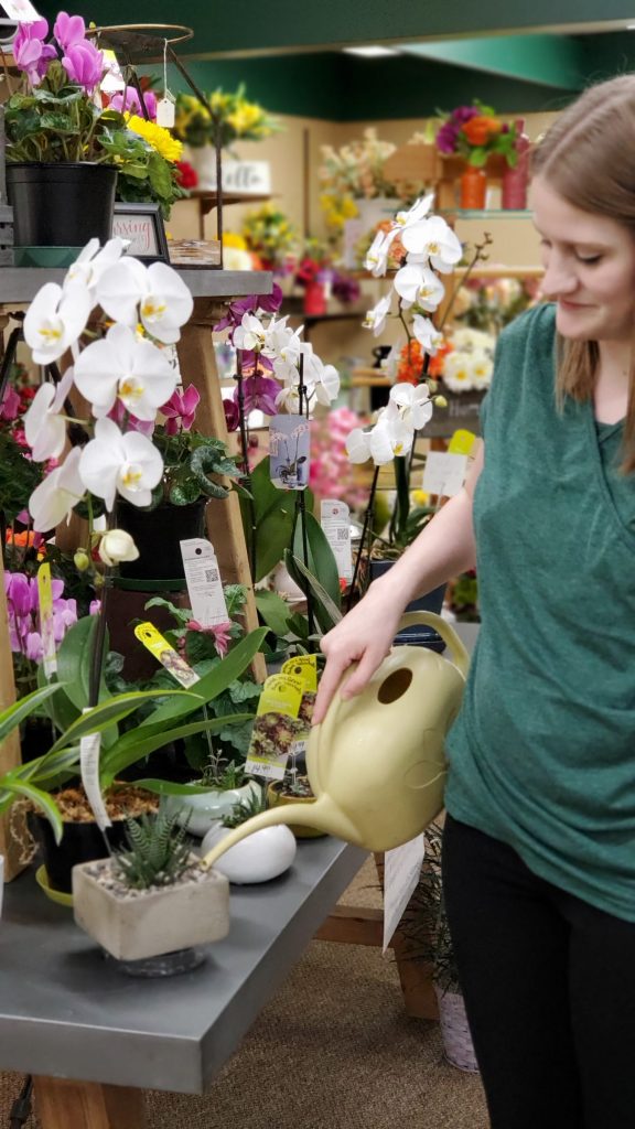 Florist tends to flowers at Renning's Flowers
